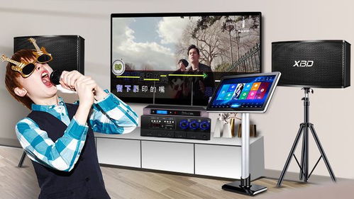 炫寶迪點歌機哪款型號更優？音質效果與評測全面解析